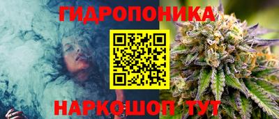 шишки Гусев
