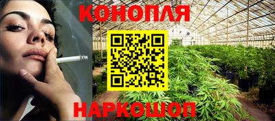 шишки Гусев