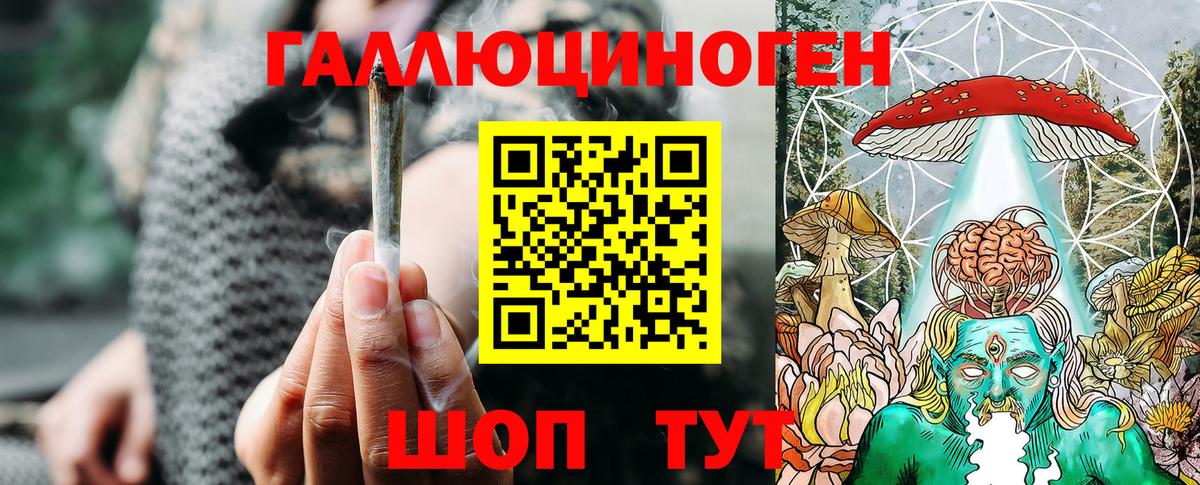 Псилоцибиновые грибы Psilocybe Набережные Челны